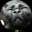 れいらんのプロフィール画像