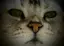 カナのプロフィール画像