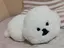 結のプロフィール画像