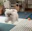 mのプロフィール画像