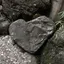 Izuminのプロフィール画像