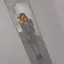 ゆかのプロフィール画像