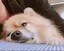 れんちゃんのプロフィール画像
