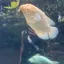 きみのプロフィール画像