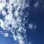 ㅎㅇのプロフィール画像