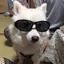 もこもずくのプロフィール画像