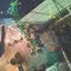 桜のプロフィール画像