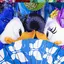 manamiのプロフィール画像