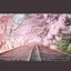 さほのプロフィール画像
