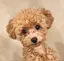 Moet❤︎のプロフィール画像
