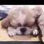 水飴のプロフィール画像