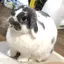 あおいのプロフィール画像
