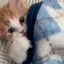 あいのプロフィール画像
