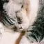 りょうかのプロフィール画像