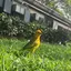 sakyuのプロフィール画像