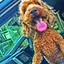 津島のプロフィール画像