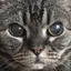 ゆりのプロフィール画像
