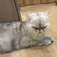 rのプロフィール画像
