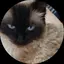 なつのプロフィール画像
