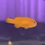 まつまつのプロフィール画像