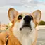 naokiのプロフィール画像