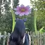 ゆのプロフィール画像