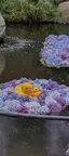 えこのプロフィール画像
