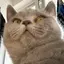 コウのプロフィール画像