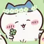 Riのプロフィール画像