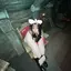 れあのプロフィール画像