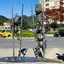 パイの実のプロフィール画像