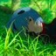aのプロフィール画像