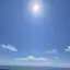 めむのプロフィール画像