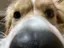 あいりのプロフィール画像