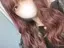 ゆうのプロフィール画像