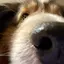 ともきのプロフィール画像