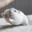 ものプロフィール画像
