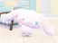るーさんのプロフィール画像