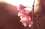 A.のプロフィール画像
