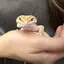 だしまきのプロフィール画像