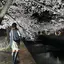 ryoのプロフィール画像