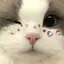 うのプロフィール画像