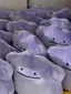 ゆづのプロフィール画像