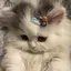 綾香のプロフィール画像