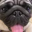 おゆんのプロフィール画像
