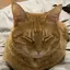 naoのプロフィール画像