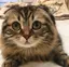 なーみんのプロフィール画像