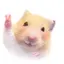 naのプロフィール画像
