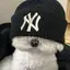 mのプロフィール画像