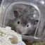 mireiのプロフィール画像